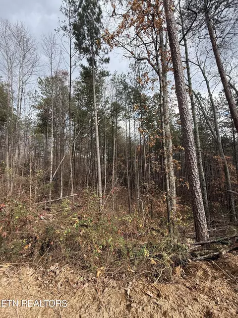 lot2 Parksville Rd, Benton, TN 37307