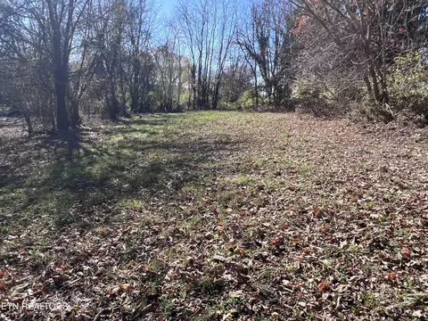 Off Jefferson St, White Pine, TN 37890 photo 2