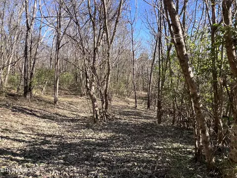 Off Jefferson St, White Pine, TN 37890 photo 4