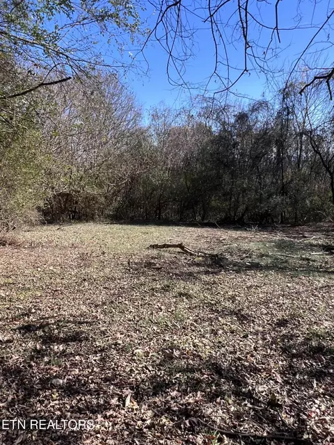 Off Jefferson St, White Pine, TN 37890 photo 5