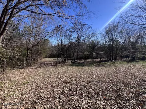 Off Jefferson St, White Pine, TN 37890 photo 6