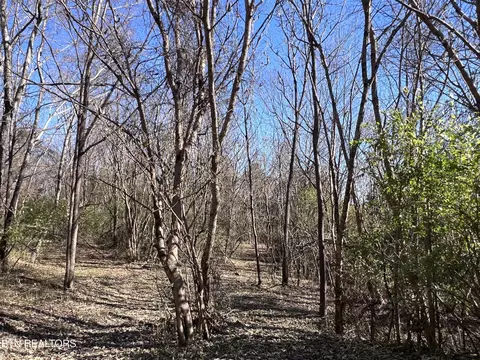 Off Jefferson St, White Pine, TN 37890 photo 3