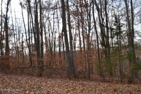 6 70ac Wet Mill Creek Rd, Celina, TN 38551