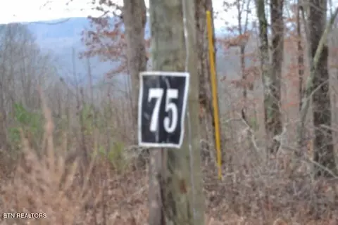 lot75 Tomahawk Rd, Jamestown, TN 38556