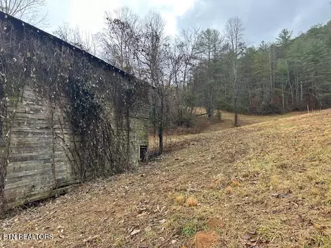 680 Bug Branch Rd, Del Rio, TN 37727