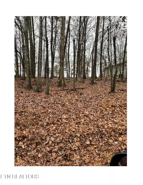 16 Berkeley, Crossville, TN 38558