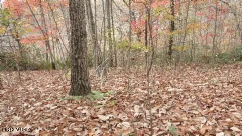 lot349 Drew Ct, Smithville, TN 37166