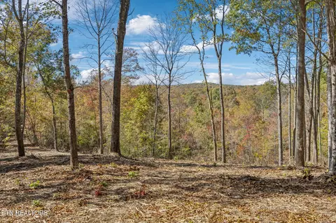 Sheep Ranch Rd, Robbins, TN 37852