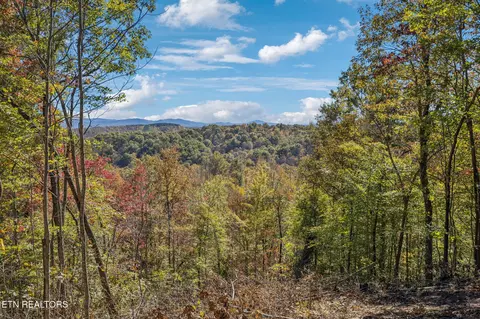 Sheep Ranch Rd, Robbins, TN 37852