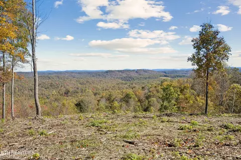 Sheep Ranch Rd., Robbins, TN 37852
