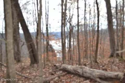 34 15ac Frogue Rd, Burkesville, KY 42717