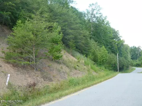 lot539 Whistle Valley Rd, New Tazewell, TN 37825
