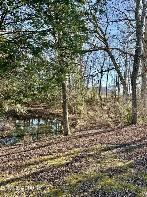 Other - 1500 Coal Hill Rd, Sunbright, TN 37872 photo 7 of 7