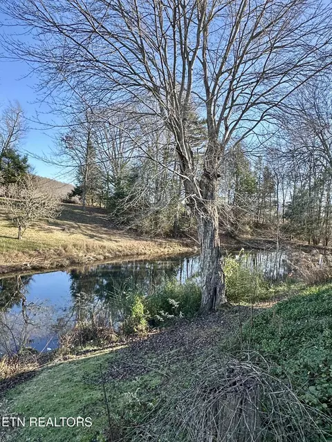 Other - 1500 Coal Hill Rd, Sunbright, TN 37872 photo 2 of 7