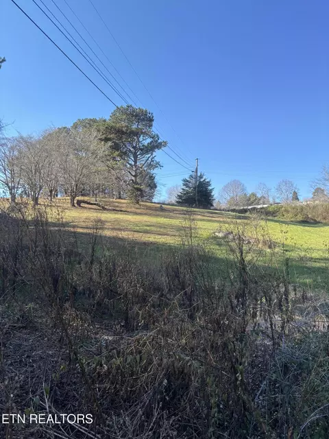 Walnut Circle, New Tazewell, TN 37825