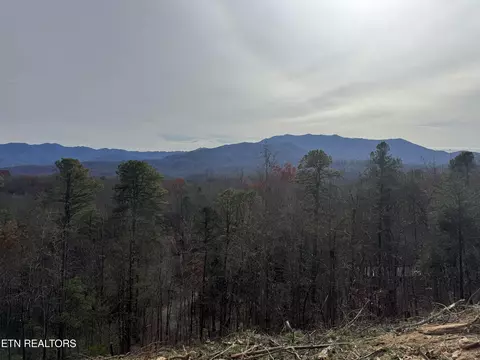 lot3 Powdermill Rd, Gatlinburg, TN 37738