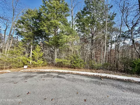 Divot Place, Tazewell, TN 37879