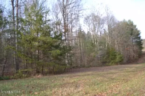 lot4 Shotgun Annie Rd, Jamestown, TN 38556
