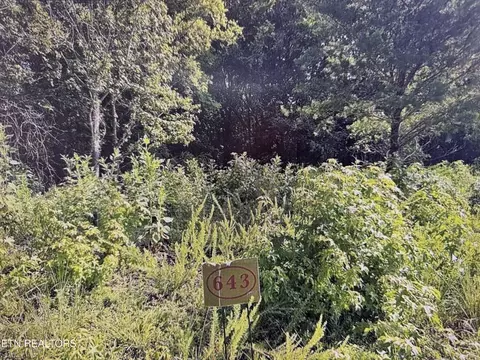 204 Majestic View Dr, Rockwood, TN 37854