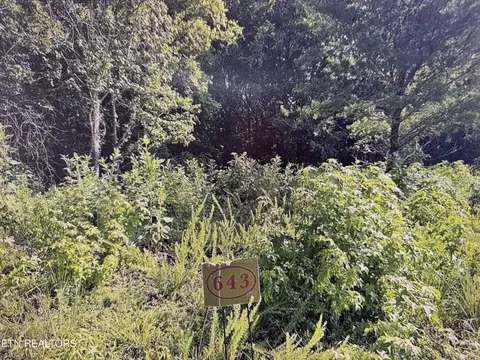 204 Majestic View Dr, Rockwood, TN 37854