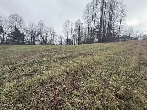 lot Apt 7 Oak Point Dr, Jonesville, VA 24263