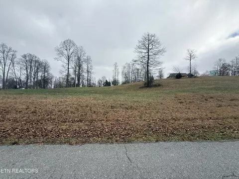 lot Apt 29 Oak Point Dr, Jonesville, VA 24263