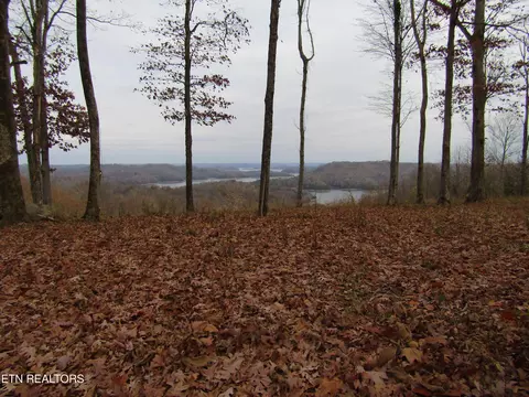 lot27 E C E Rockfish Rd, Hilham, TN 38568