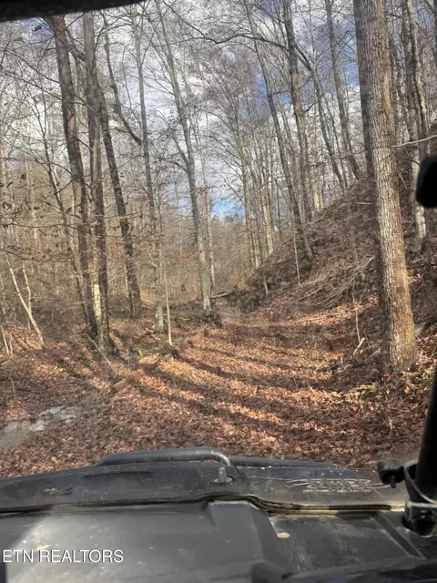 Mt Olive Rd, Andersonville, TN 37705
