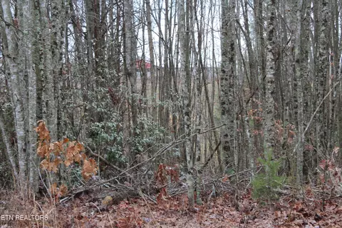 E Loomis Loop Rd, Jamestown, TN 38556