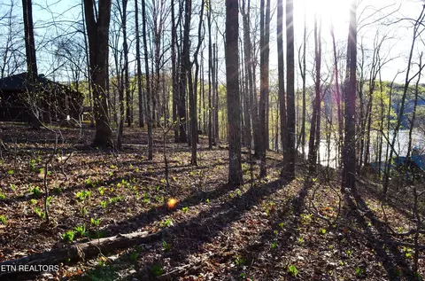 lot21 Deer Run Pt, La Follette, TN 37766