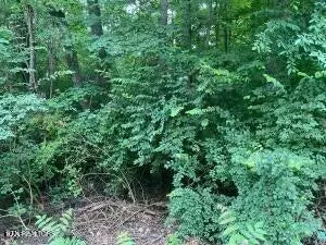 6504 Milroy Ln, Knoxville, TN 37918