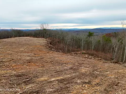 Laurel Bluff Rd, Kingston, TN 37763