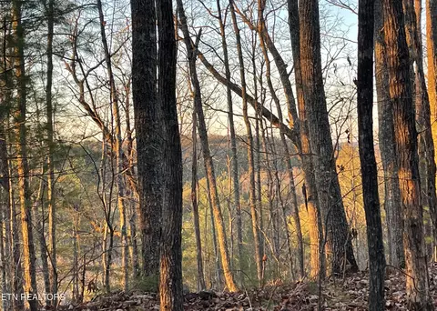 Gold Miners Lane, Tellico Plains, TN 37385
