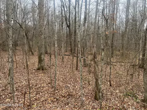 49 Kingsbury Cir, Fairfield Glade, TN 38558