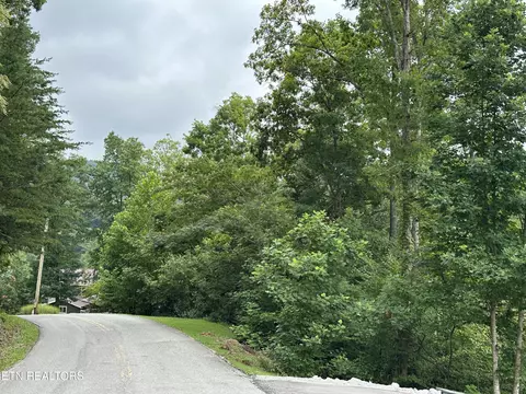 lot21 Ridge Rd, Caryville, TN 37714
