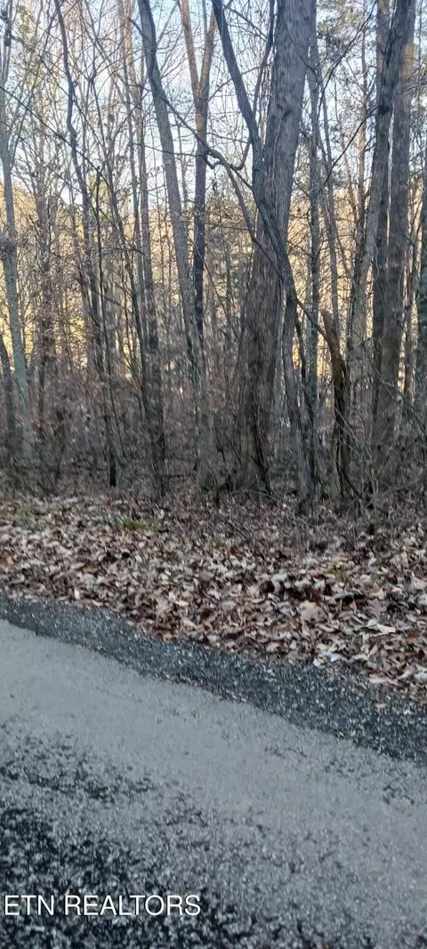 Braden Chapel Rd, Speedwell, TN 37870