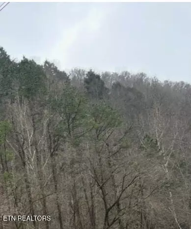 tbd Hwy 38, Lejunior, KY 40849