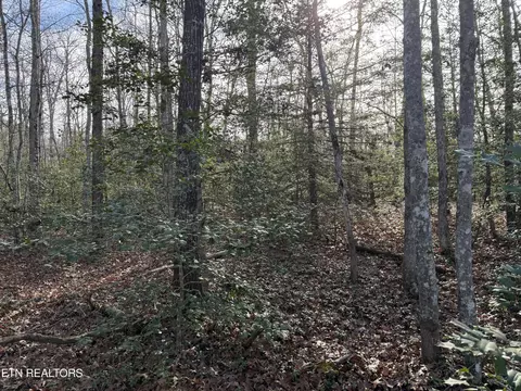 Walker Hollow Drive, Monterey, TN 38574