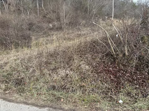 361 Newport Trl, Helenwood, TN 37755