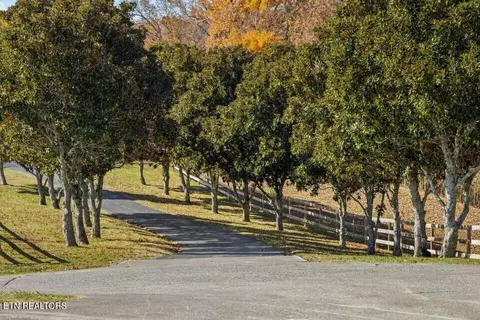Other - 6130 James Cline Rd, Talbott, TN 37877 photo 2 of 13