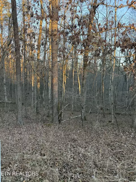 lot5 W Laurel Way, Monterey, TN 38574