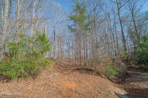 Sheerwater Rd, Kingston, TN 37763