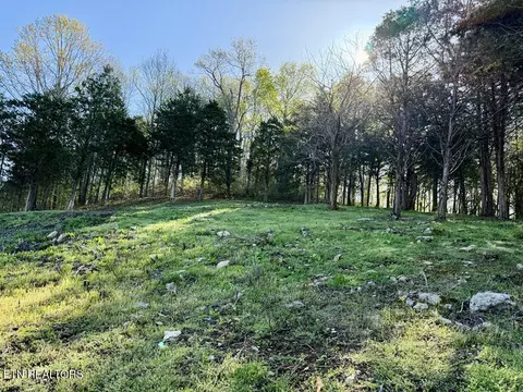 Harbor Pointe Drive, Silver Point, TN 38582 photo 2