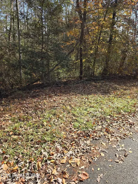 Montevallo Rd, Sevierville, TN 37876