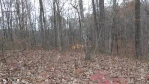 lot23 Cumberland Cove Rd, Monterey, TN 38574
