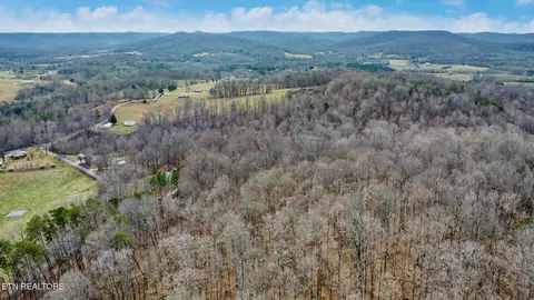 Shellotte Loop, Pall Mall, TN 38577 photo 9