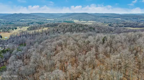 Shellotte Loop, Pall Mall, TN 38577 photo 8
