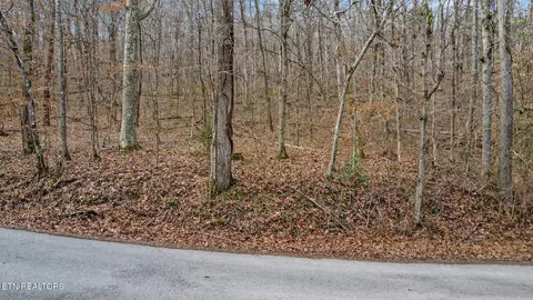 Shellotte Loop, Pall Mall, TN 38577 photo 18