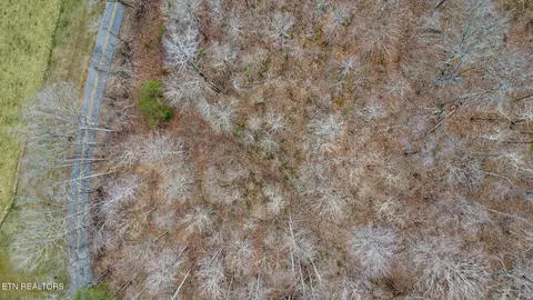Shellotte Loop, Pall Mall, TN 38577 photo 16