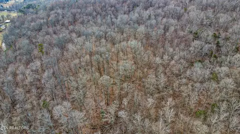 Shellotte Loop, Pall Mall, TN 38577 photo 5